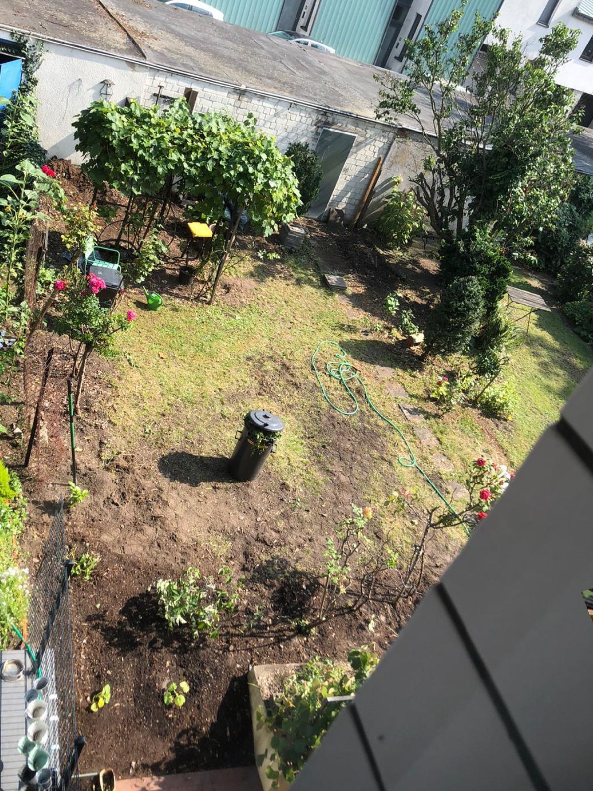Garten vor der Umgestaltung