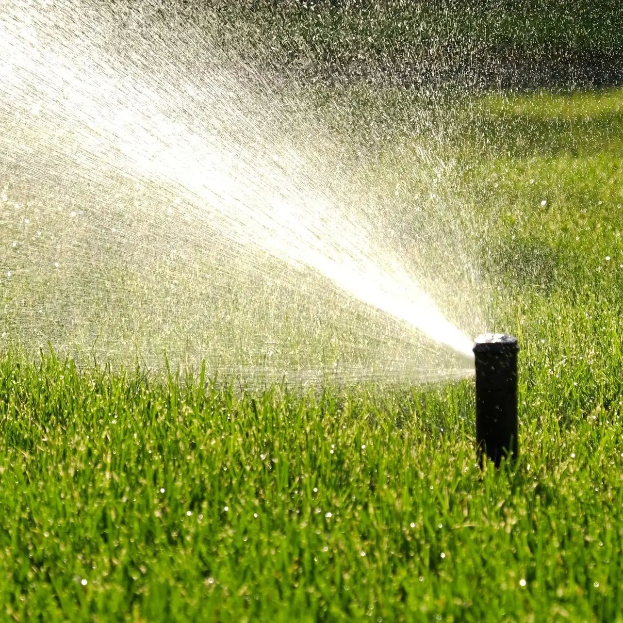 Bewässerungsanlagen in Köln: Automatische Rasenberegnung im Garten