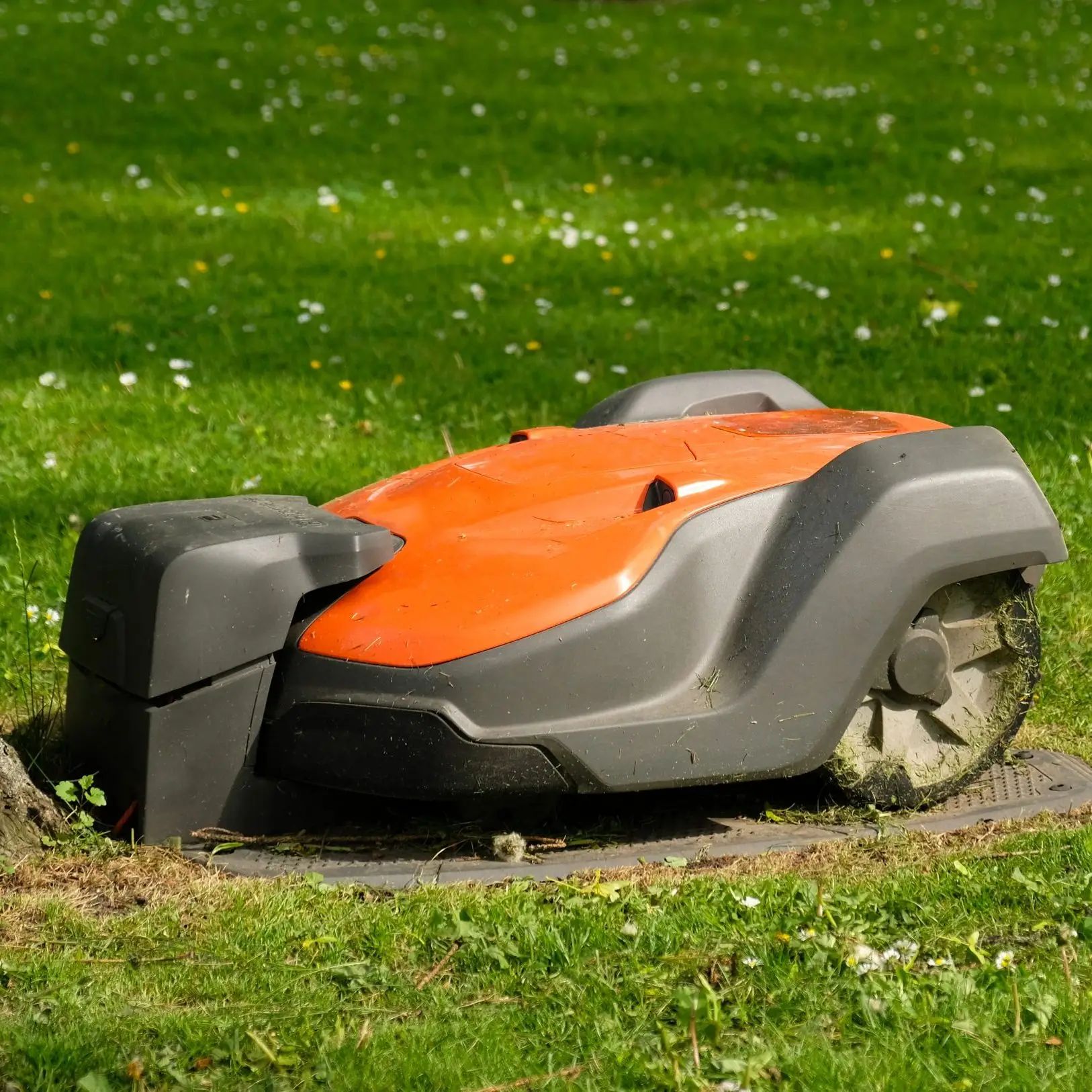 Mähroboter in Köln: Automatischer Rasenmäher auf dem Rasen
