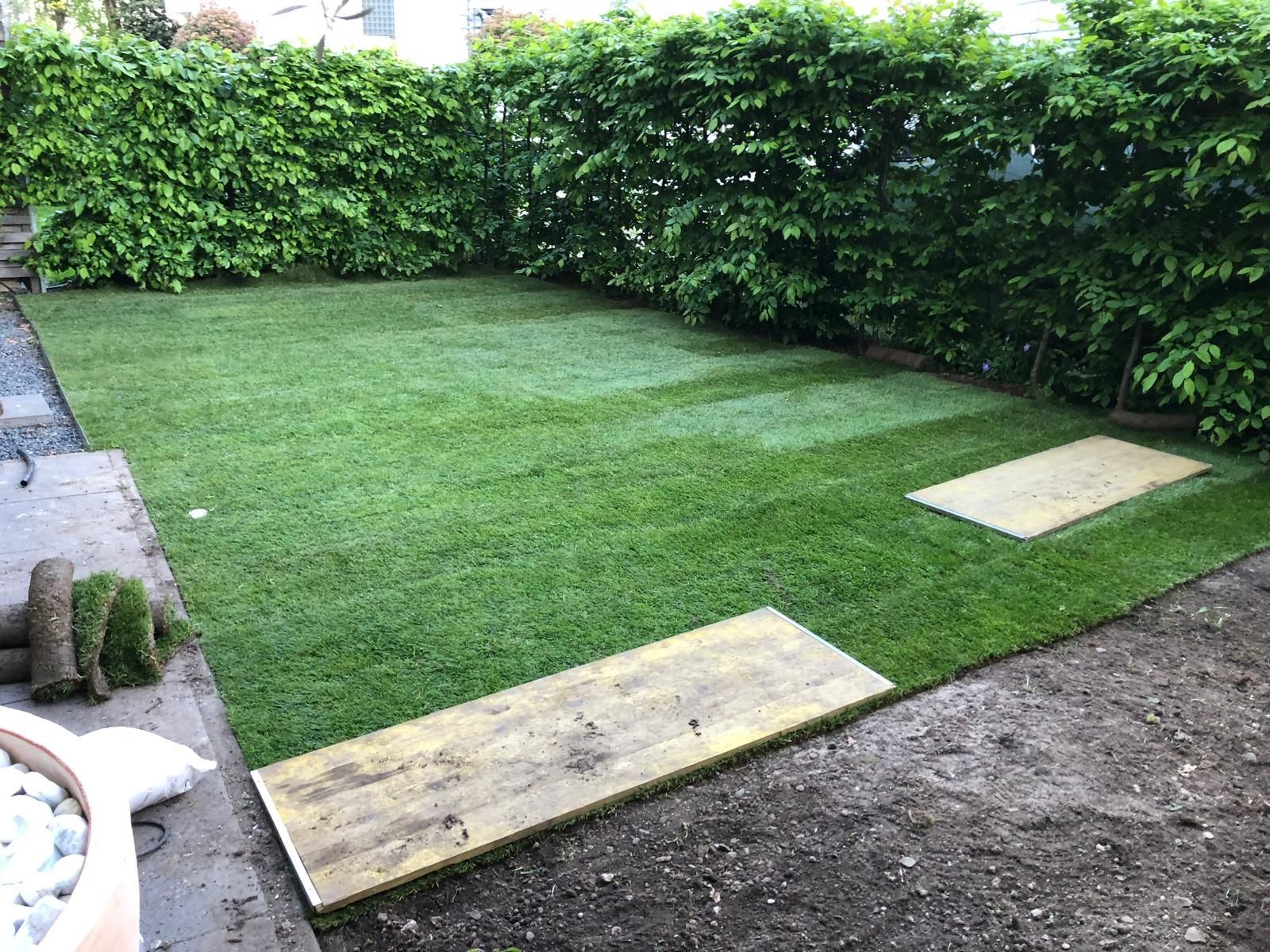 Garten in Köln nach der Pflege